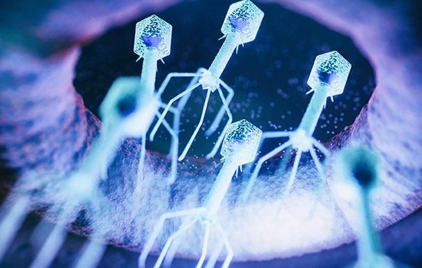 尊龙凯时人生就是博·(中国)官网