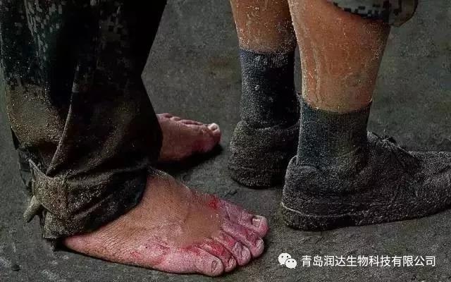  八一建军节 I 尊龙凯时致敬最可爱的人