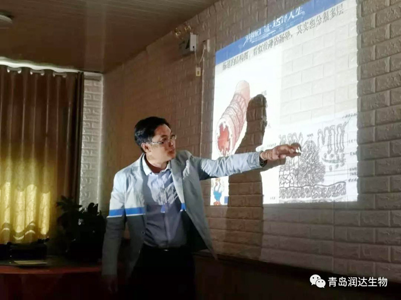 “尊龙凯时蛋鸡无抗中国行--商丘站”