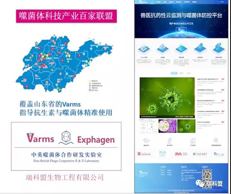  【同理念·共前行】热烈接待中外专家莅临尊龙凯时·瑞科盟旅行考察！