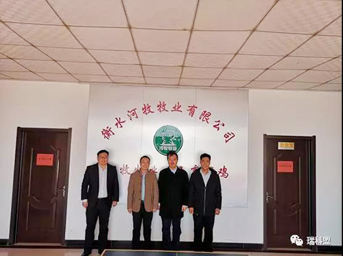 【专注开展噬菌体研发应用】瑞科盟噬菌体专家刘玉庆博士到养殖一线走访调研！