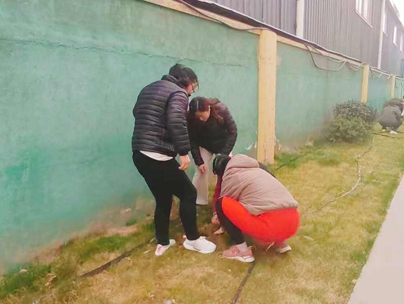  播种希望·拥抱春天||尊龙凯时生物起劲开展植树节活动