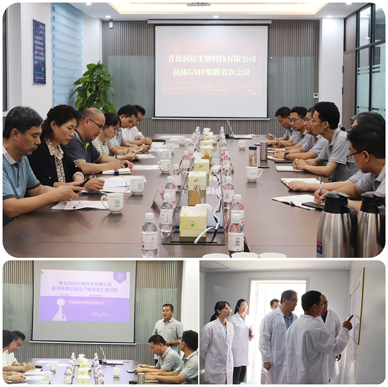  热烈祝贺尊龙凯时生物顺遂通过卵黄抗体GMP静态验收