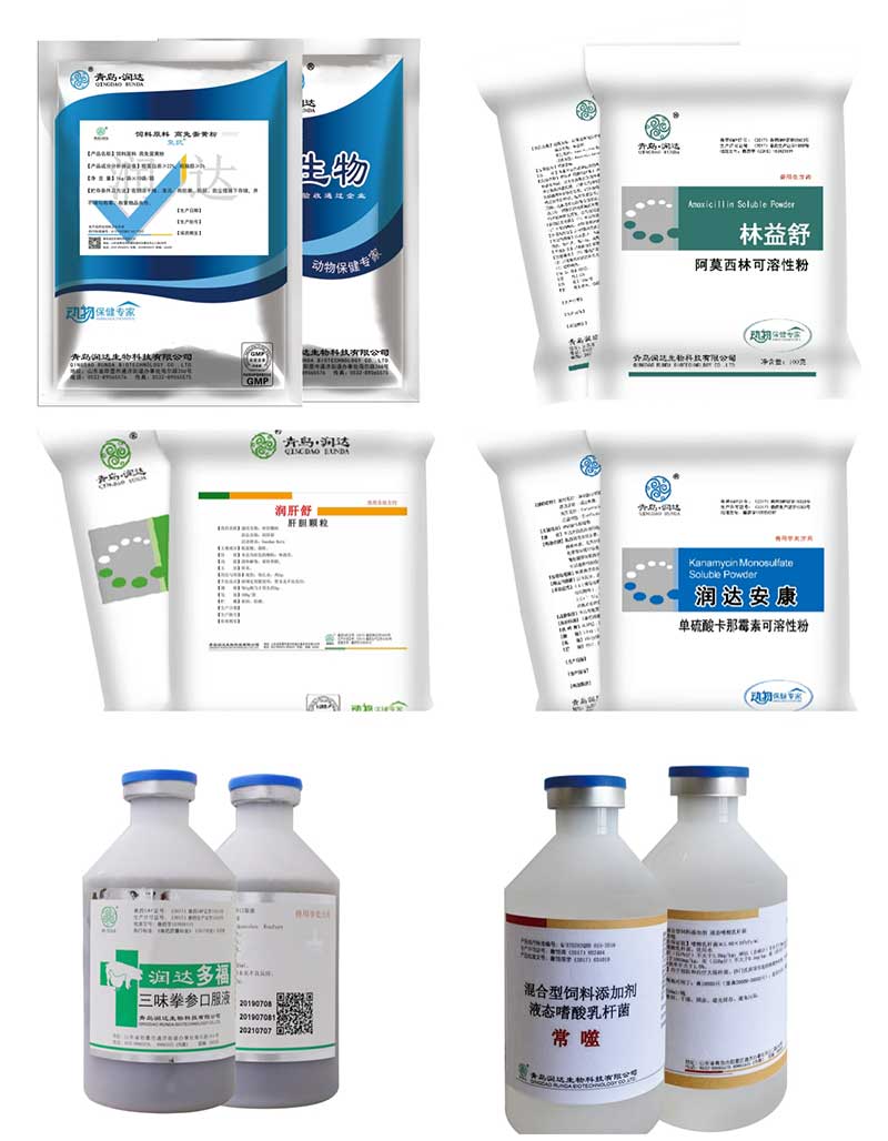 怎样应对目今的变异型法氏囊炎？