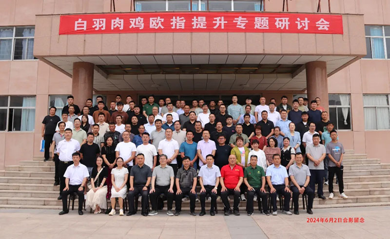 博采众长话欧指·同创共享增效益||尊龙凯时生物白羽肉鸡欧指提升专题钻研会（潍坊专。┰猜倏